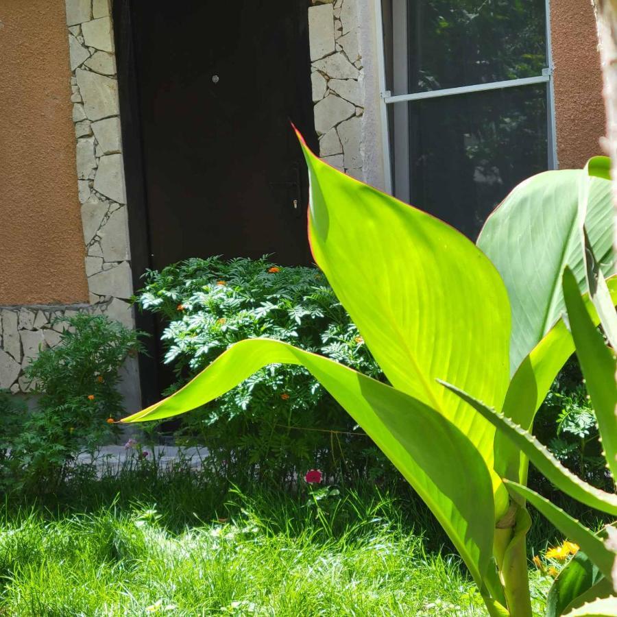 River House Boutique Hotel Yerevan Exterior foto