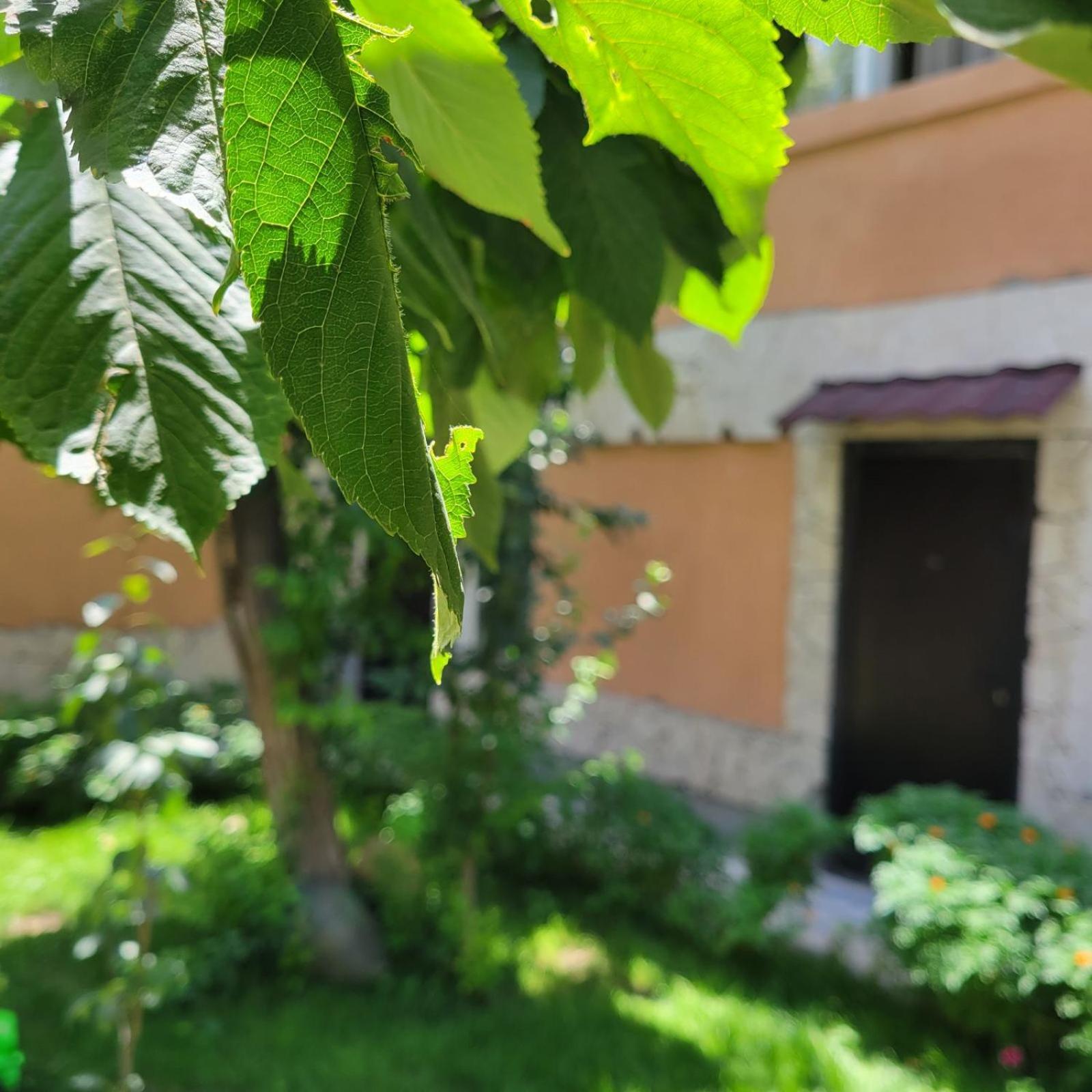 River House Boutique Hotel Yerevan Exterior foto