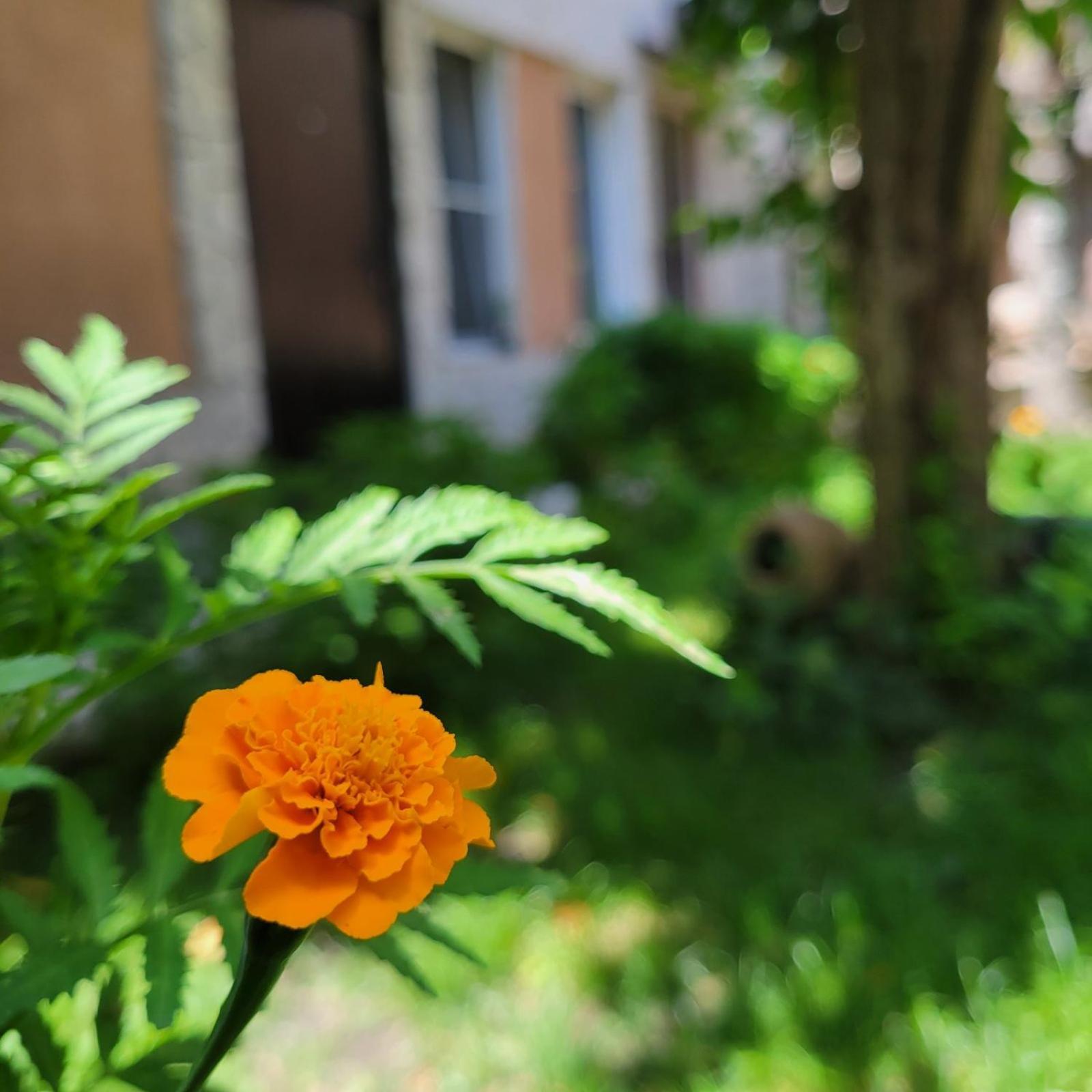 River House Boutique Hotel Yerevan Exterior foto